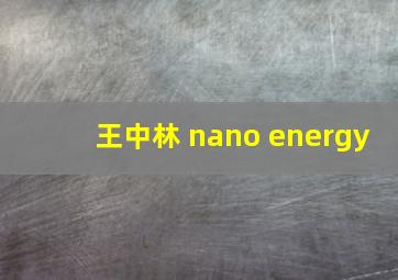 王中林 nano energy